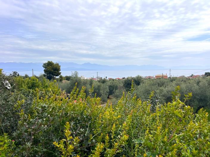 Image No.29-3 Bed House/Villa for sale