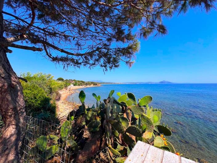 Image No.16-Propriété de pays de 4 chambres à vendre à Pylos