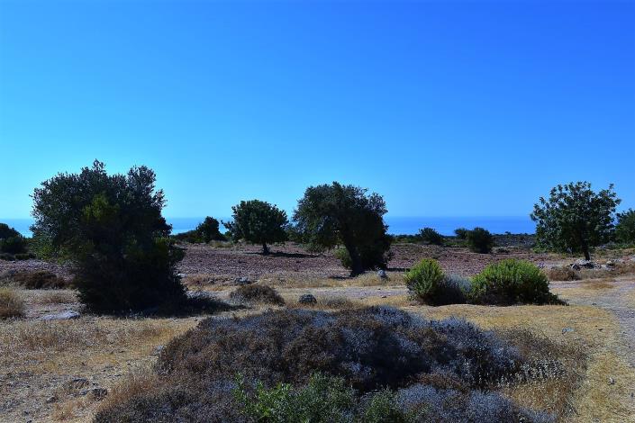 Image No.5-Land for sale