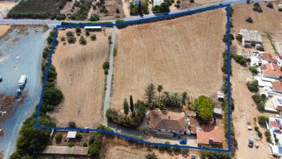 Lemon-Farm-Kolossi--2-of-3-