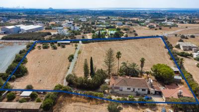 Lemon-Farm-Kolossi--3-of-3-
