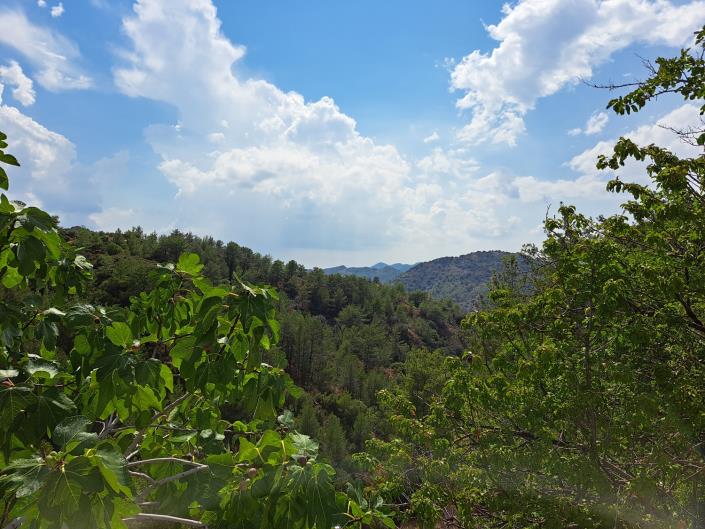 Image No.6-Maison de village de 3 chambres à vendre à Lemithou