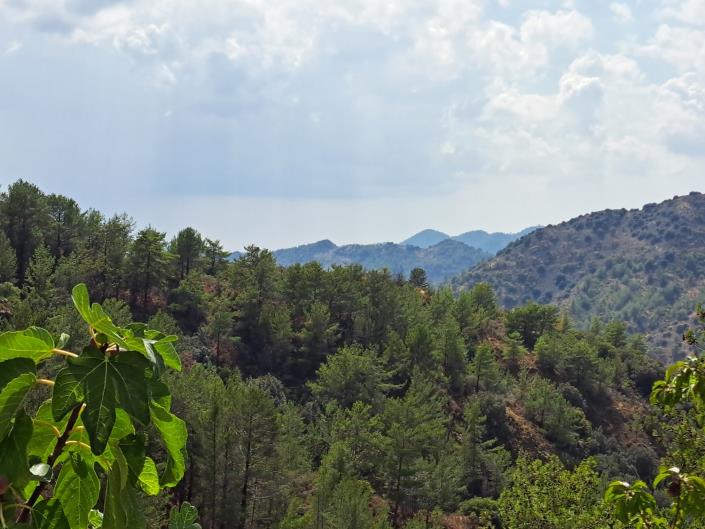 Image No.7-Maison de village de 3 chambres à vendre à Lemithou