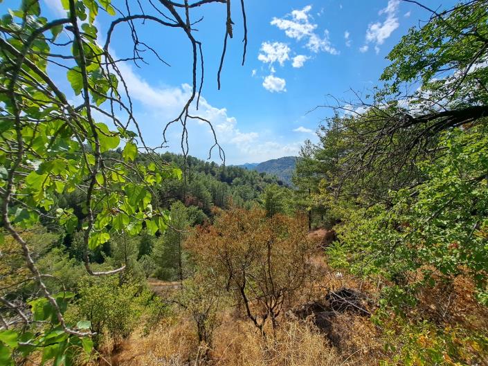 Image No.21-Maison de village de 3 chambres à vendre à Lemithou