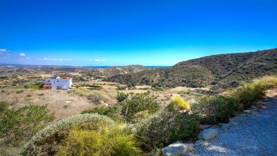 CM---2-Pines---ID-1112--2-of-54-