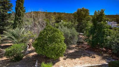 8B-Ambelones---ID-1137--2-of-28-