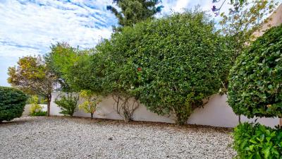 52-Pine-Bay_ID-1152--5-of-22-