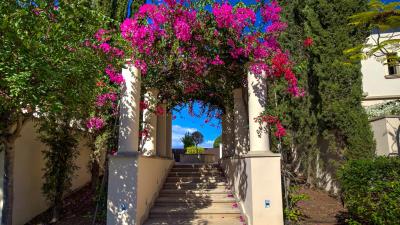 2-Bedroom-Apartment-For-Sale---Apollo-Heights--Aphrodite-Hills--Paphos-ID-1105-01--ID-1105--Comark-Estates