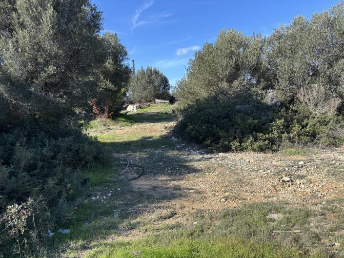 Image No.4-Plot for sale