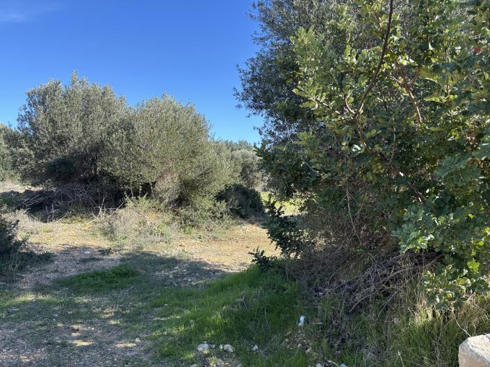 Image No.7-Plot for sale