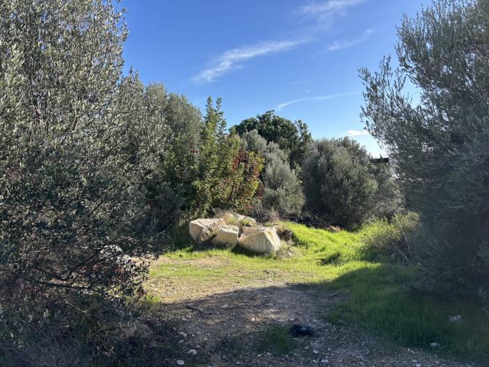 Image No.2-Plot for sale