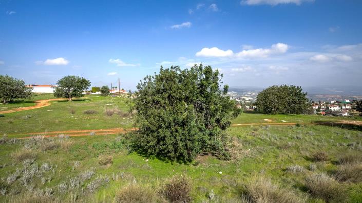 Image No.21-3 Bed Bungalow for sale