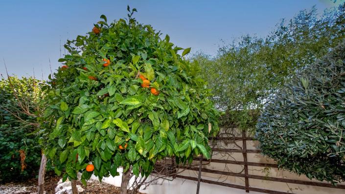 Image No.22-3 Bed Bungalow for sale