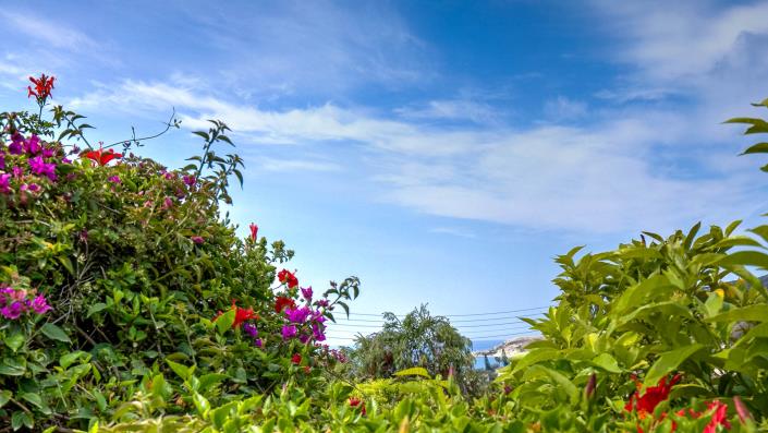 Image No.26-2 Bed Bungalow for sale