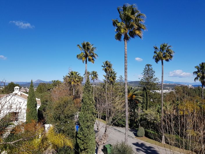 Image No.3-4 Bed Bungalow for sale