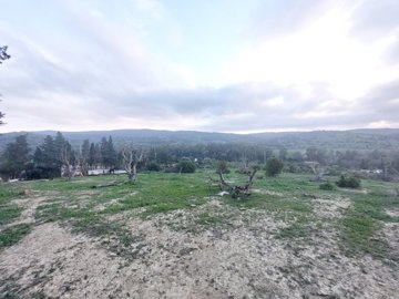 plot