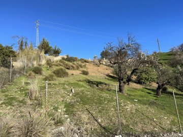 Direct Estates  most sold property