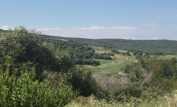 Image No.12-4 Bed Plot for sale