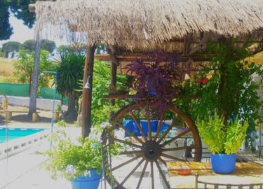 terrace