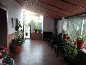 terrace
