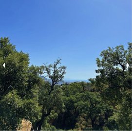Views