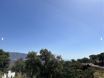 Views3