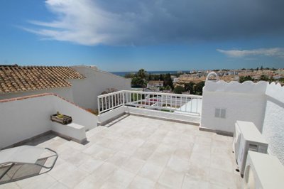 IMG_4781