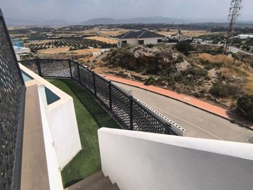 Coin VIlla (9)