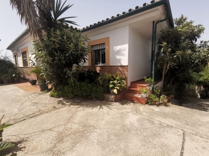 Image No.16-Finca de 5 chambres à vendre à Mijas Costa