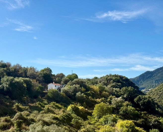 Image No.18-3 Bed Finca for sale