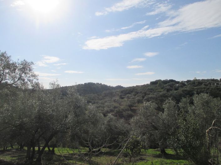 Image No.14-5 Bed Villa for sale