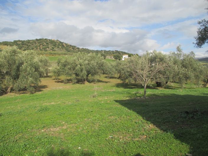 Image No.17-5 Bed Villa for sale