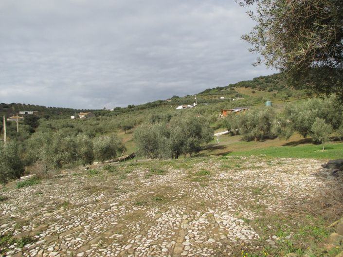 Image No.18-5 Bed Villa for sale