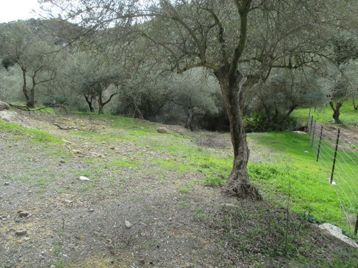 Image No.19-5 Bed Villa for sale