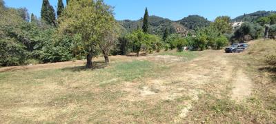IMG_20240706_122923