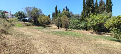 IMG_20240706_122519
