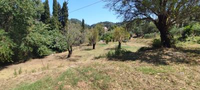 IMG_20240706_122617