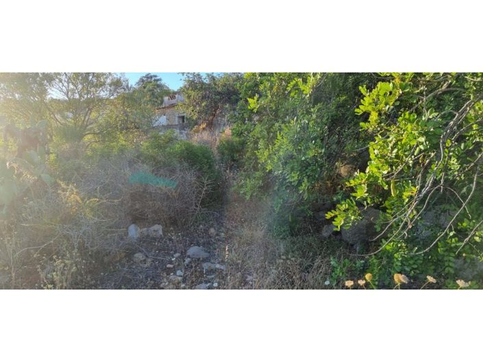 Image No.3-Plot for sale