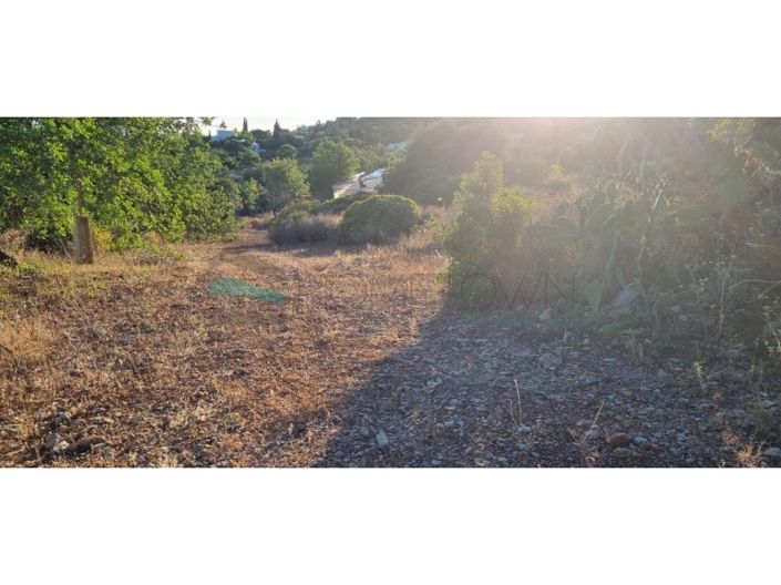 Image No.4-Plot for sale