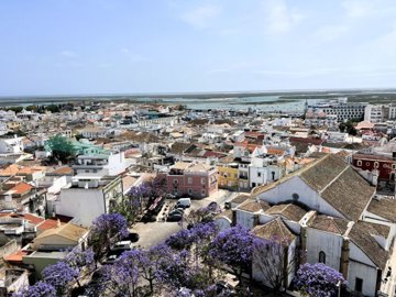 id039c9d01-0000-0500-0000-000015bfc964