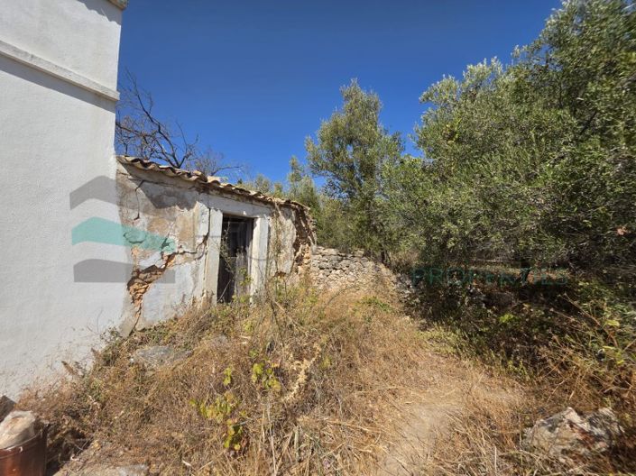 Image No.10-Plot for sale