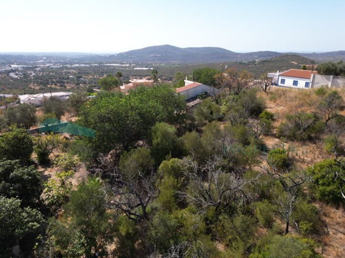 Image No.14-Plot for sale