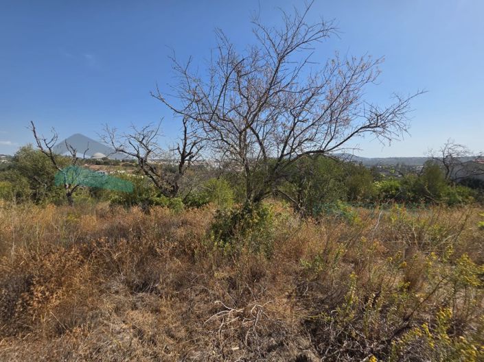 Image No.18-Plot for sale