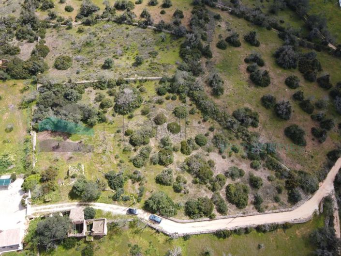 Image No.4-Plot for sale