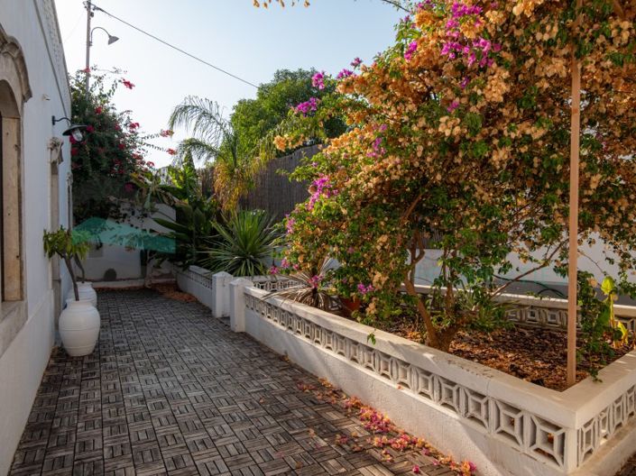 Image No.46-Maison de 3 chambres à vendre à Loule
