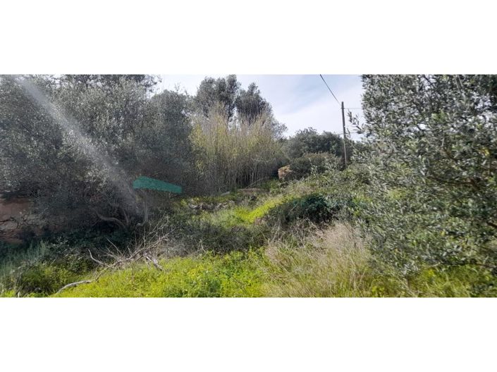 Image No.11-Plot for sale