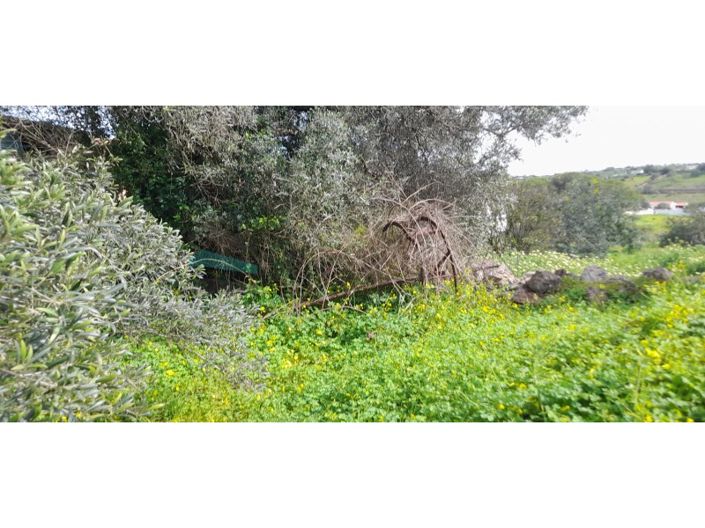 Image No.12-Plot for sale