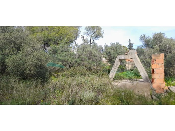 Image No.13-Plot for sale