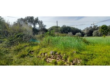 id670c7a01-0000-0500-0000-000012cffe41