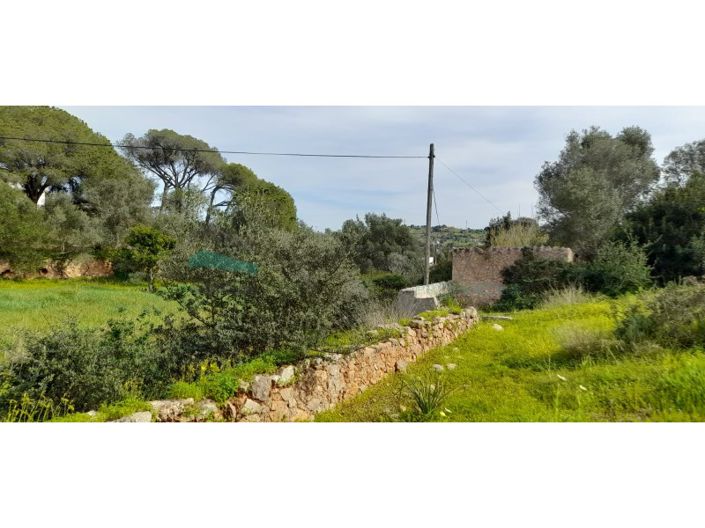 Image No.16-Plot for sale